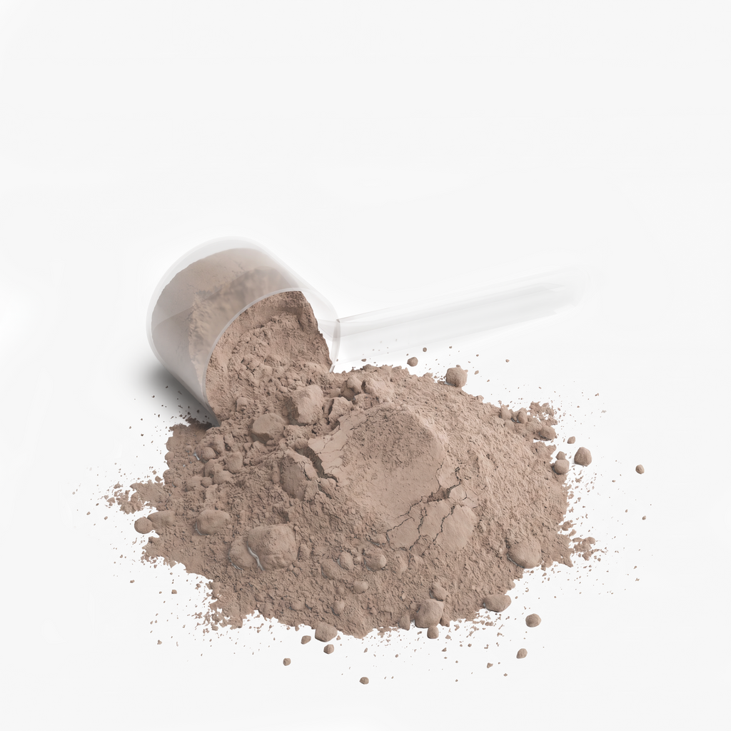Performance Whey Protein Blend (Chocolate)